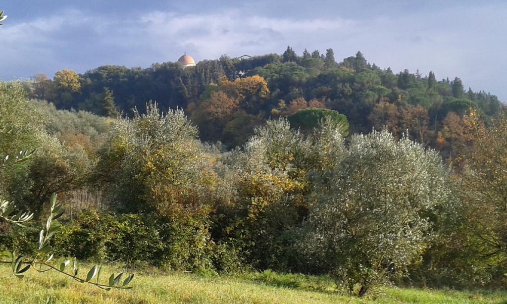 La Casetta Di Barbara Impruneta Exteriér fotografie