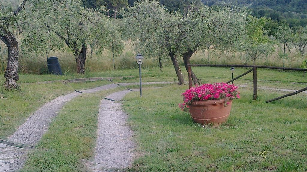 La Casetta Di Barbara Impruneta Pokoj fotografie